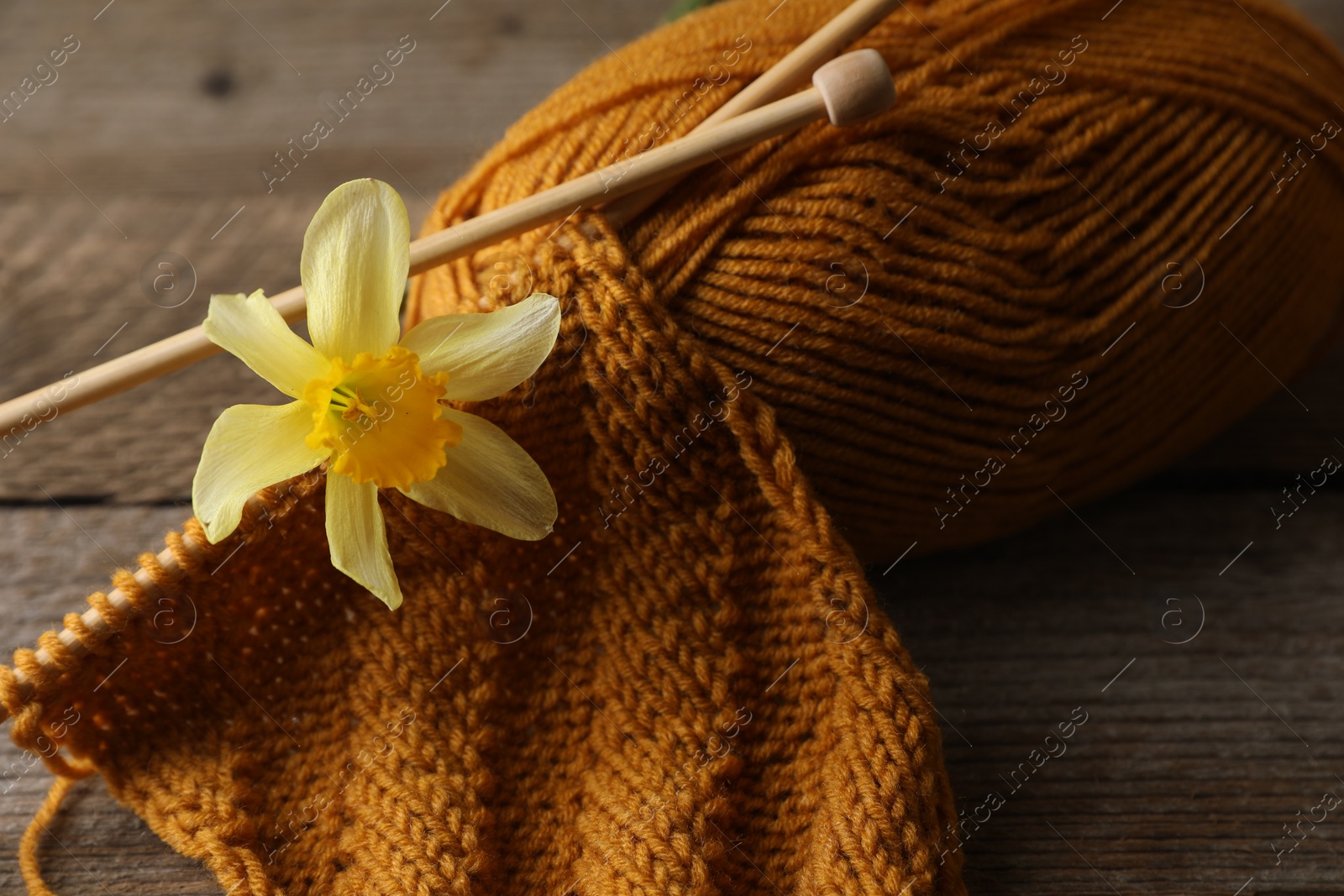 Photo of Soft orange knitting, daffodil flower, yarn and needles on wooden table, closeup