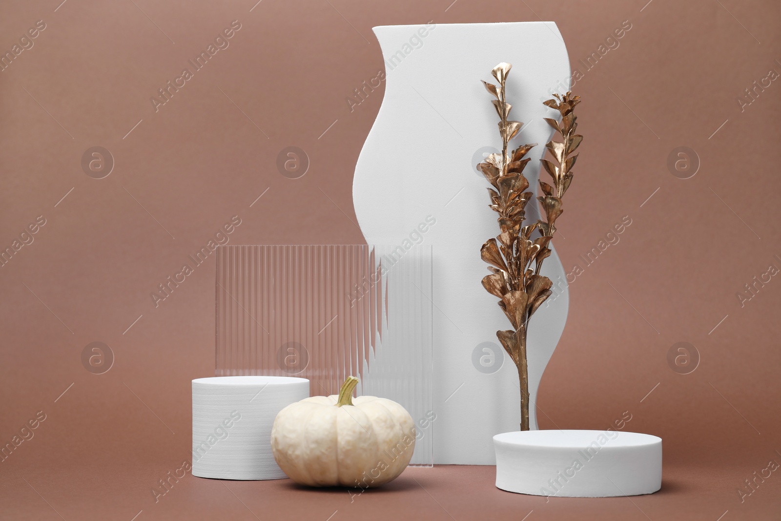 Photo of Autumn presentation for product. Geometric figures, pumpkin and golden branch with leaves on light brown background