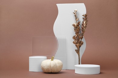 Autumn presentation for product. Geometric figures, pumpkin and golden branch with leaves on light brown background