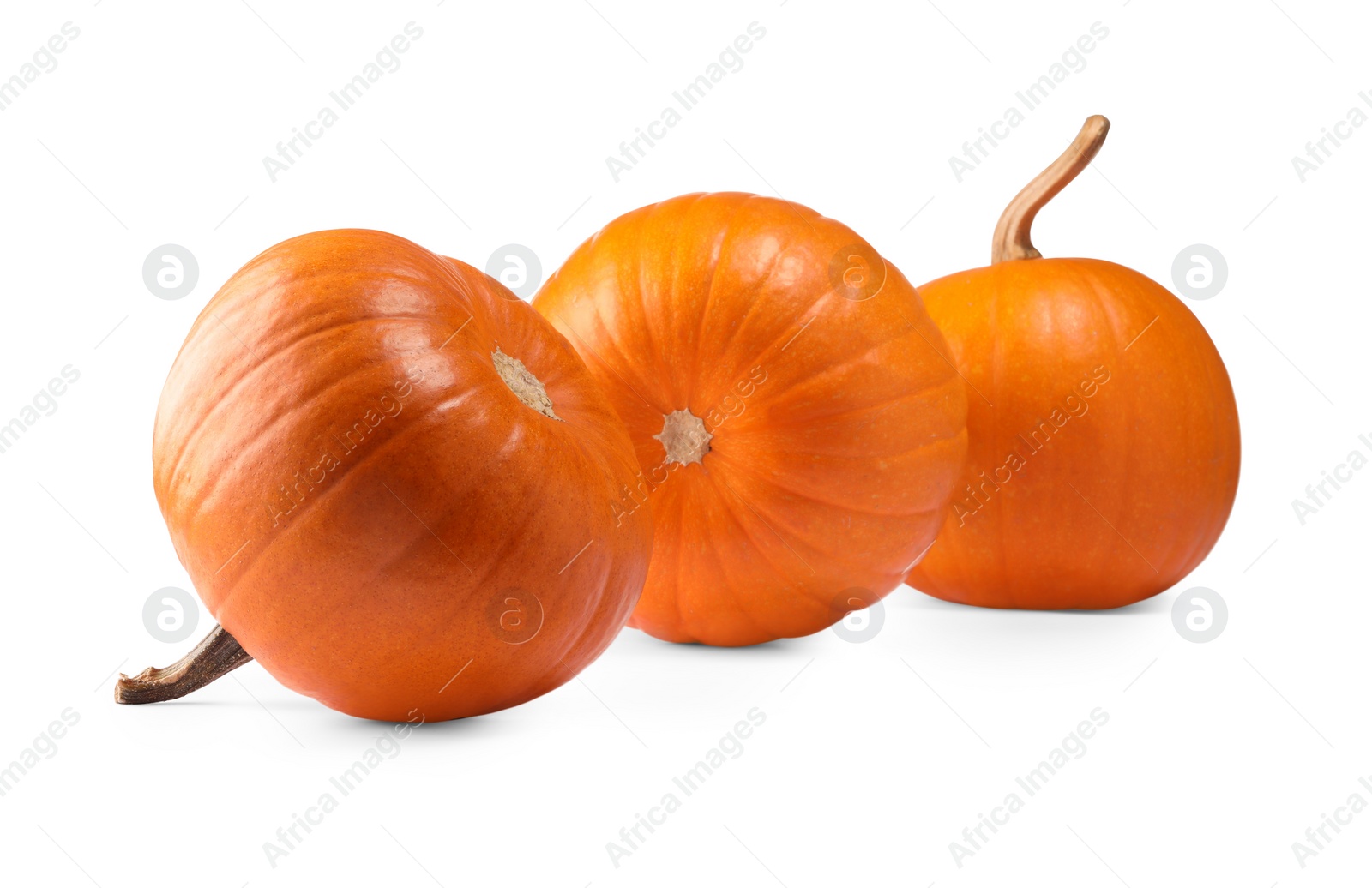 Photo of Many fresh orange pumpkins isolated on white