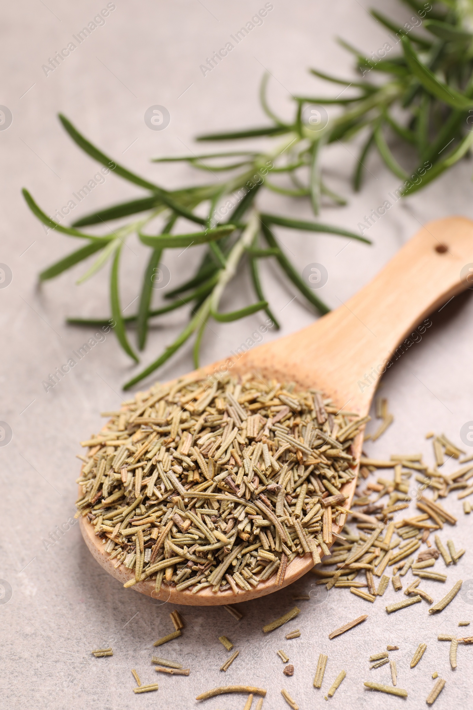 Photo of Wooden spoon with dry rosemary on light grey table, closeup