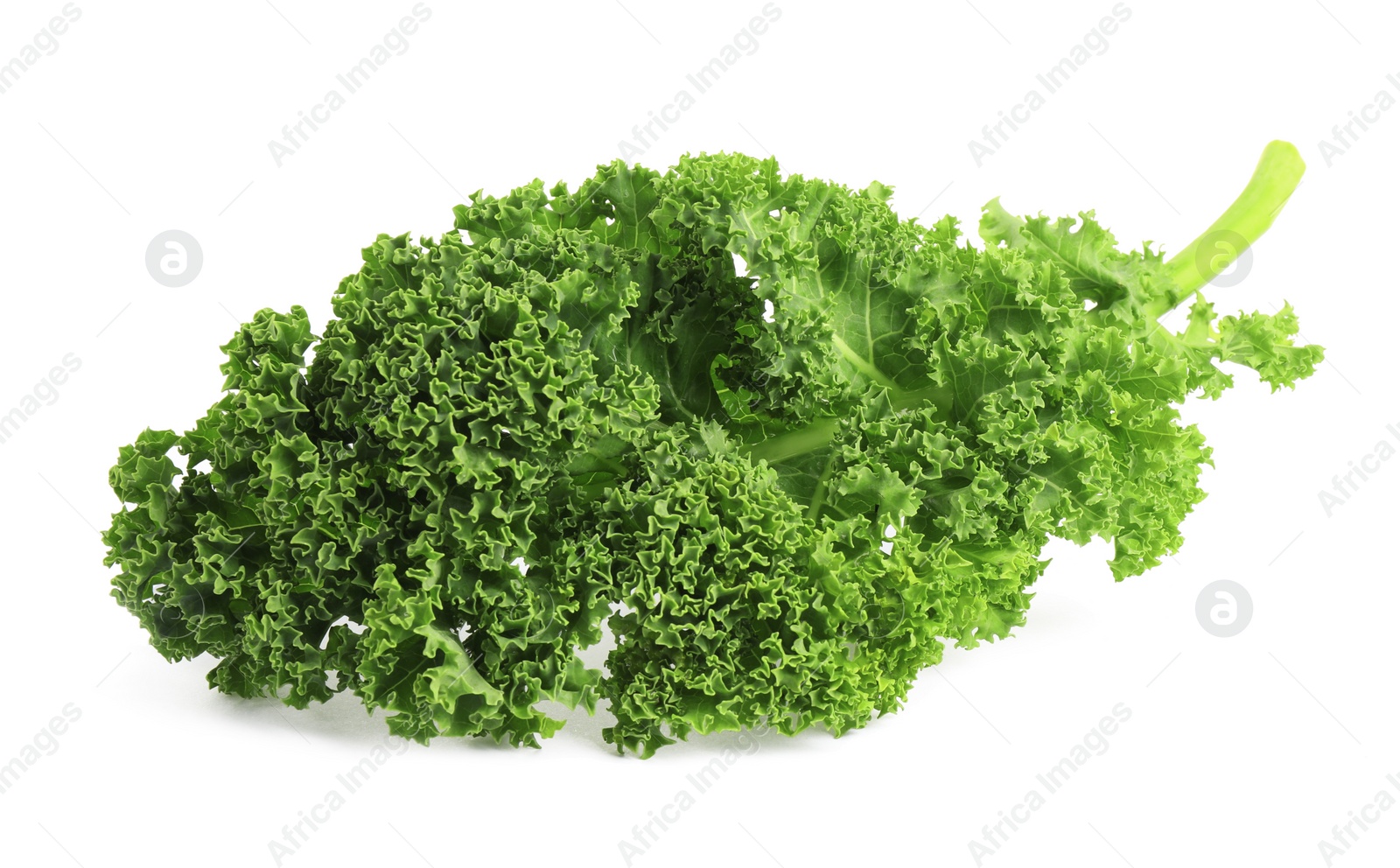 Photo of Fresh green kale leaf isolated on white