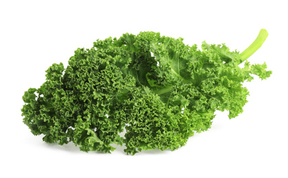 Photo of Fresh green kale leaf isolated on white