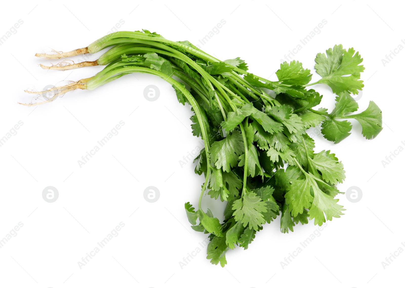 Photo of Bunch of fresh coriander on white background, top view