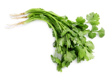 Photo of Bunch of fresh coriander on white background, top view