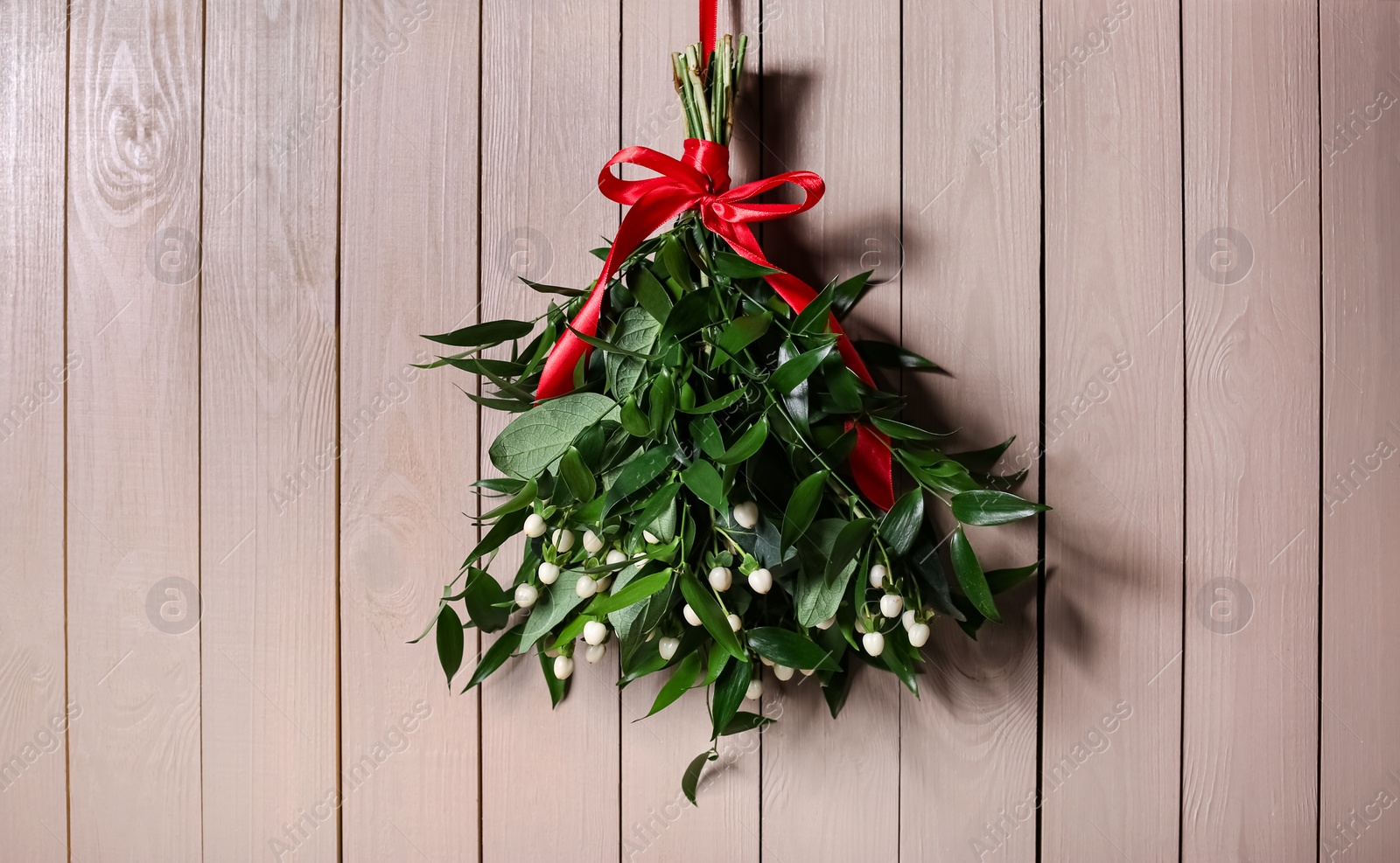 Photo of Mistletoe bunch with red bow hanging on wooden wall. Traditional Christmas decor