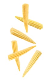 Image of Tasty baby corn cobs flying on white background