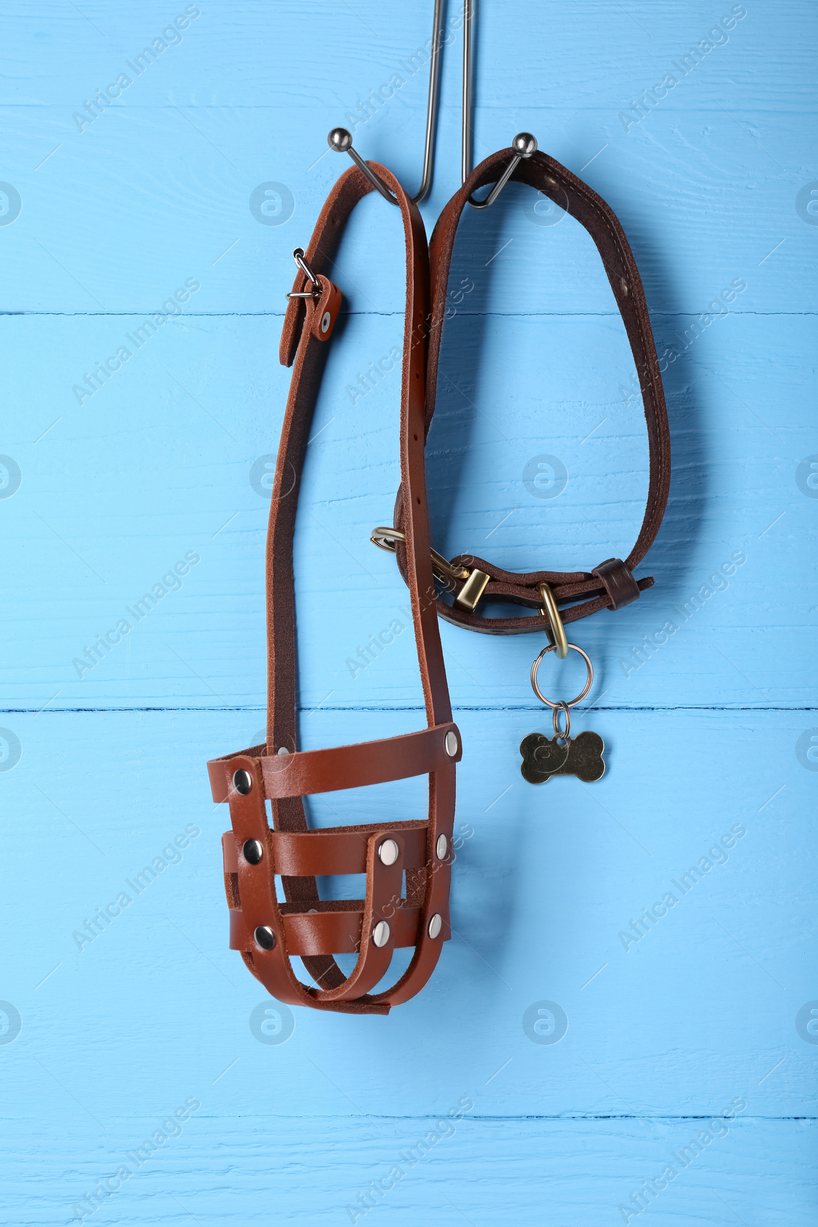Photo of Brown leather dog muzzle and collar hanging on light blue wooden wall