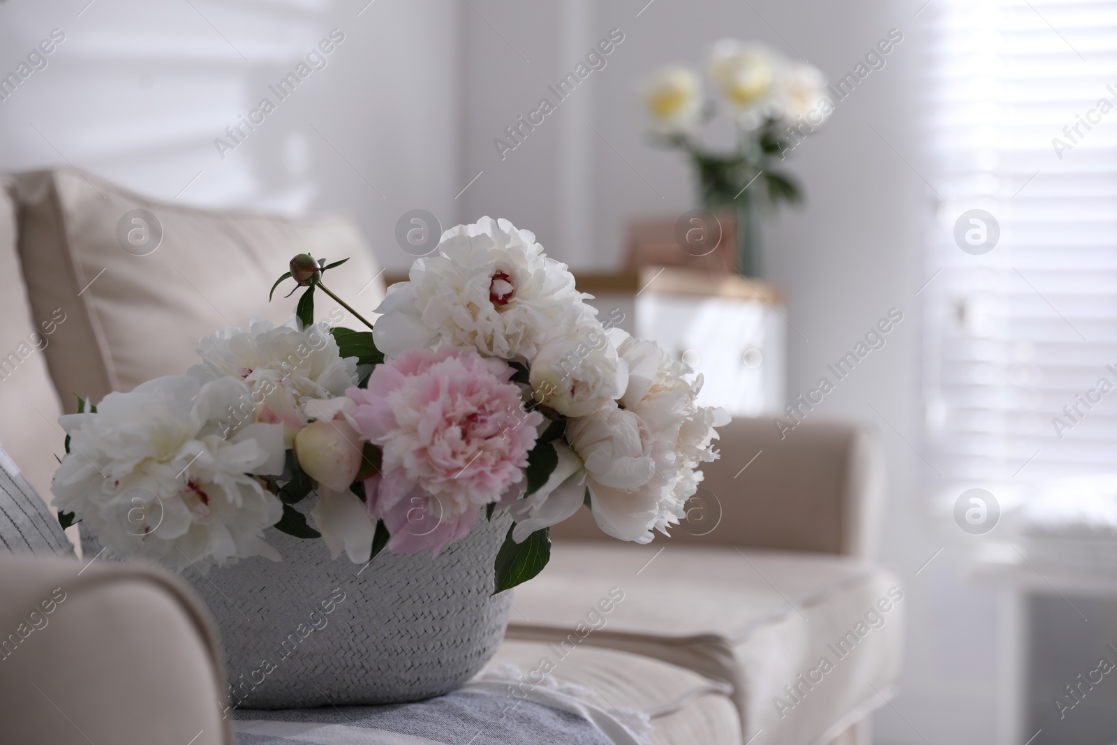 Photo of Bouquet of beautiful peony flowers in basket on sofa. Space for text