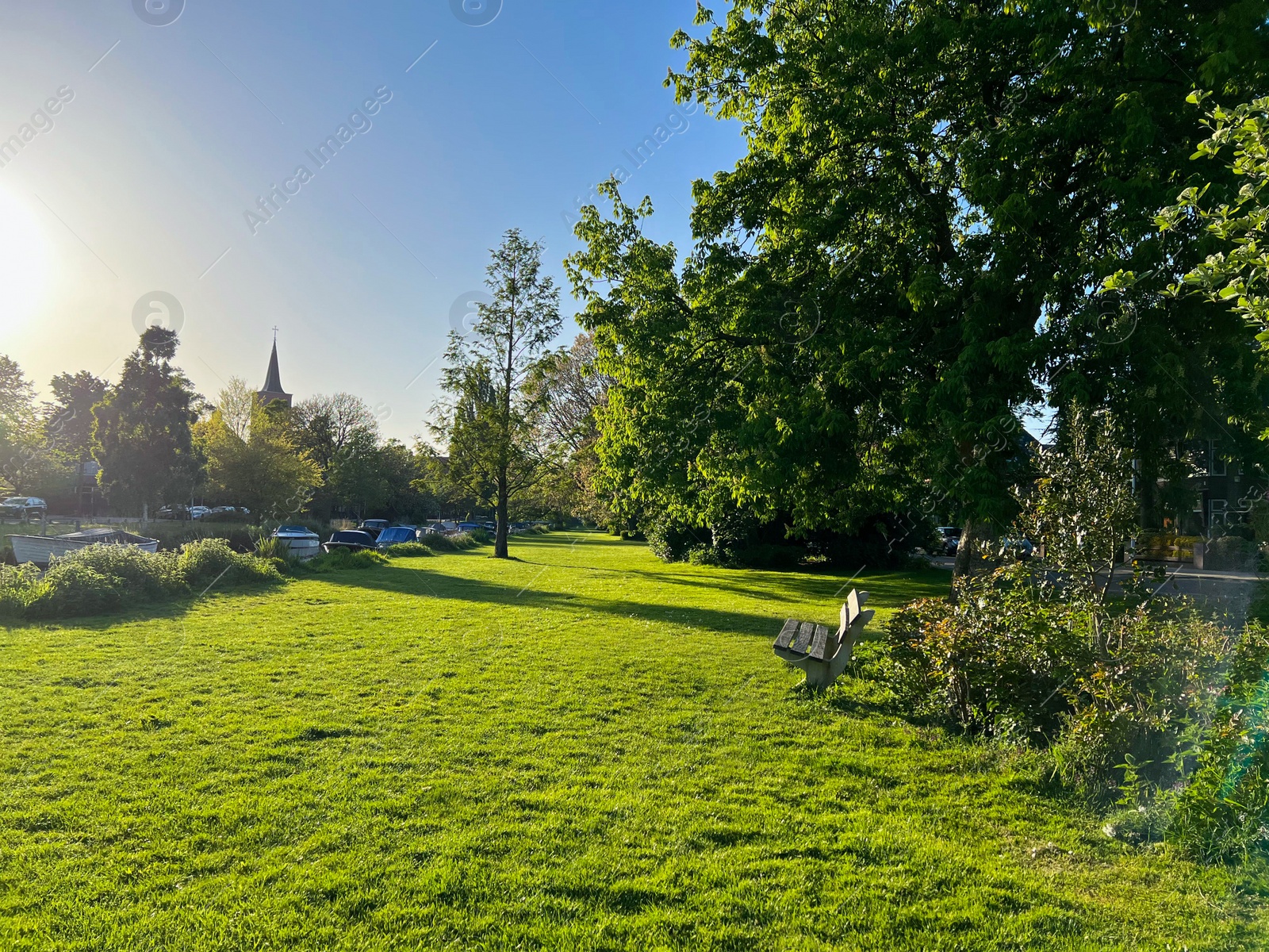 Photo of Picturesque view of green park with wooden bench on sunny morning