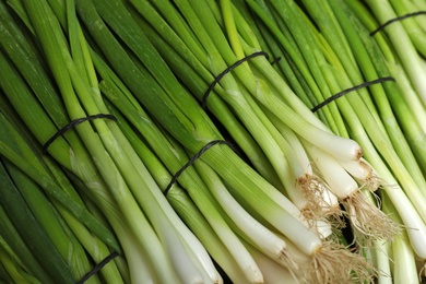 Photo of Bunches of fresh green onions as background, closeup view