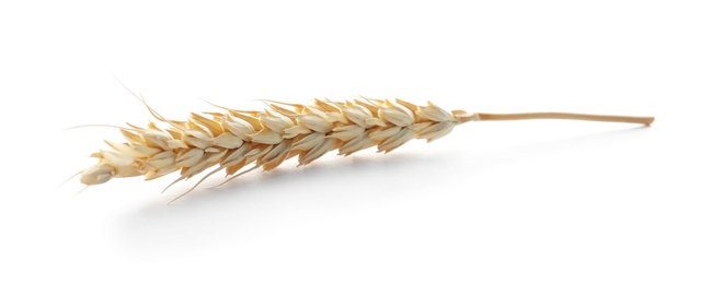 Photo of Spikelet on white background. Healthy grains and cereals