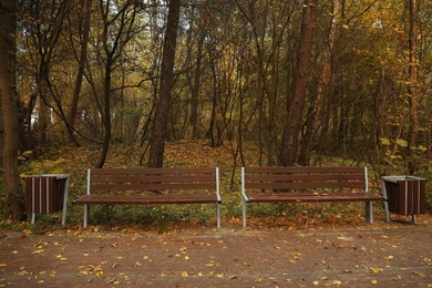 Many beautiful trees, benches and pathway in autumn park