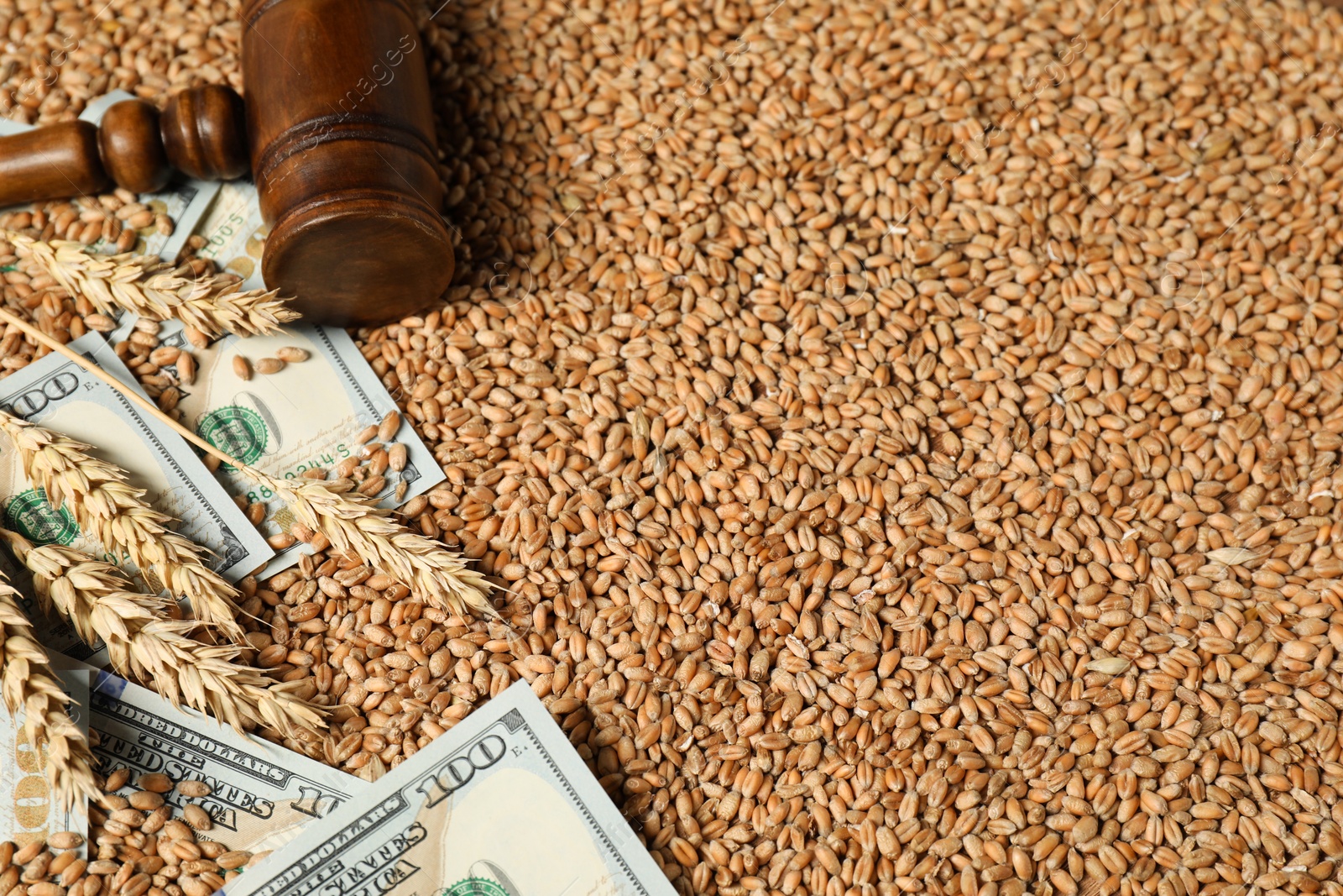 Photo of Dollar banknotes, wooden gavel and wheat ears on grains, closeup. Agricultural business