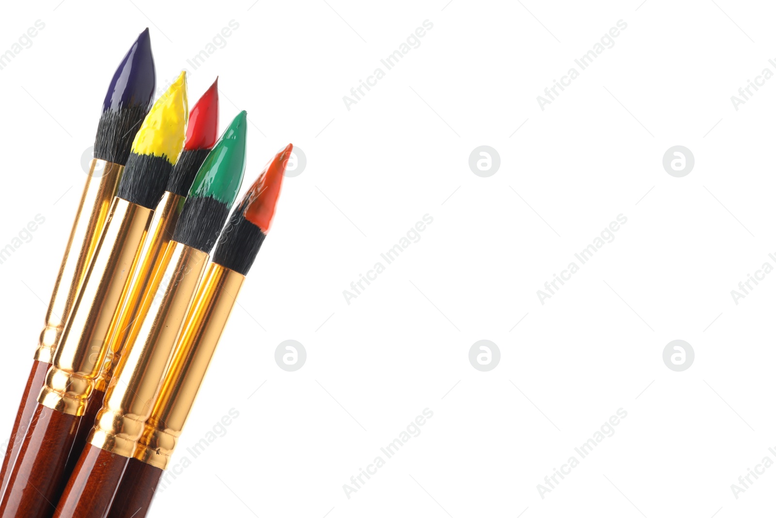 Photo of Brushes with colorful paints on white background