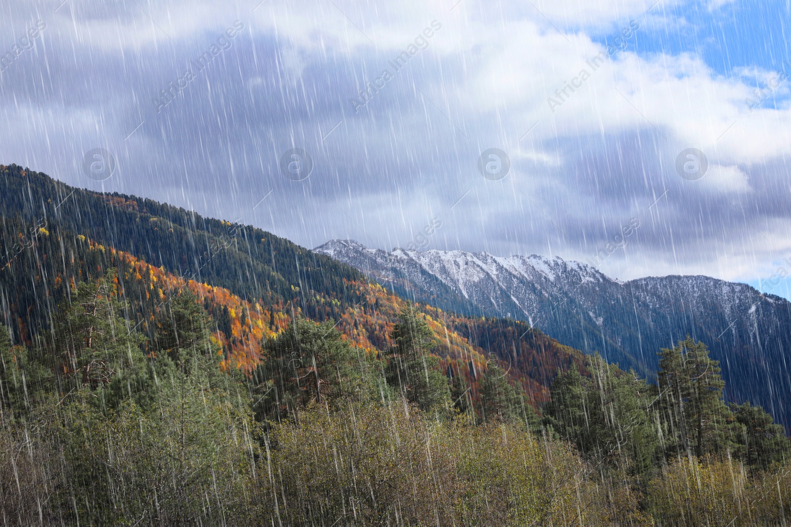 Image of Picturesque view of mountain landscape with forest on rainy day