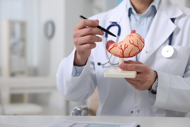 Gastroenterologist showing human stomach model at table in clinic, closeup