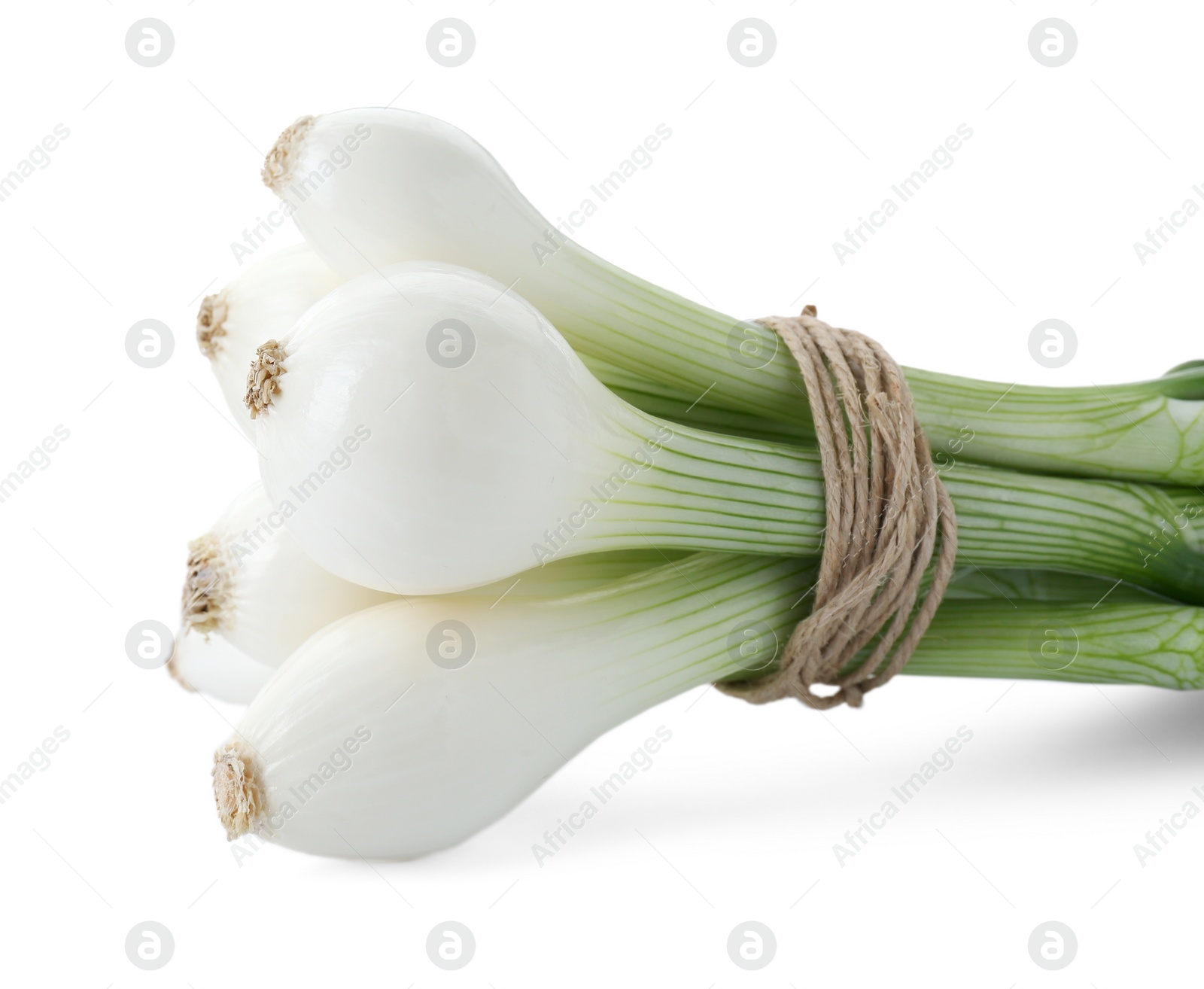 Photo of Bunch of green spring onions isolated on white