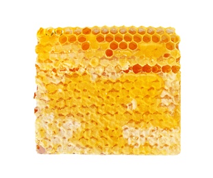 Fresh honeycomb on white background, top view