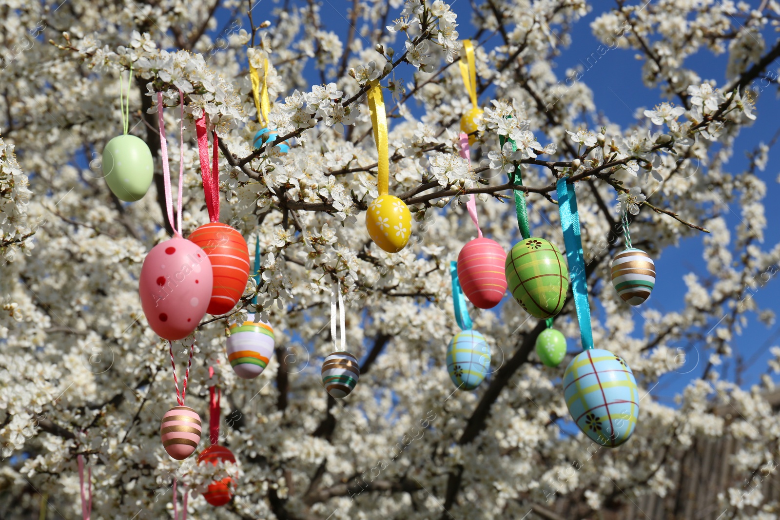 Photo of Beautifully painted Easter eggs hanging on blooming cherry tree outdoors