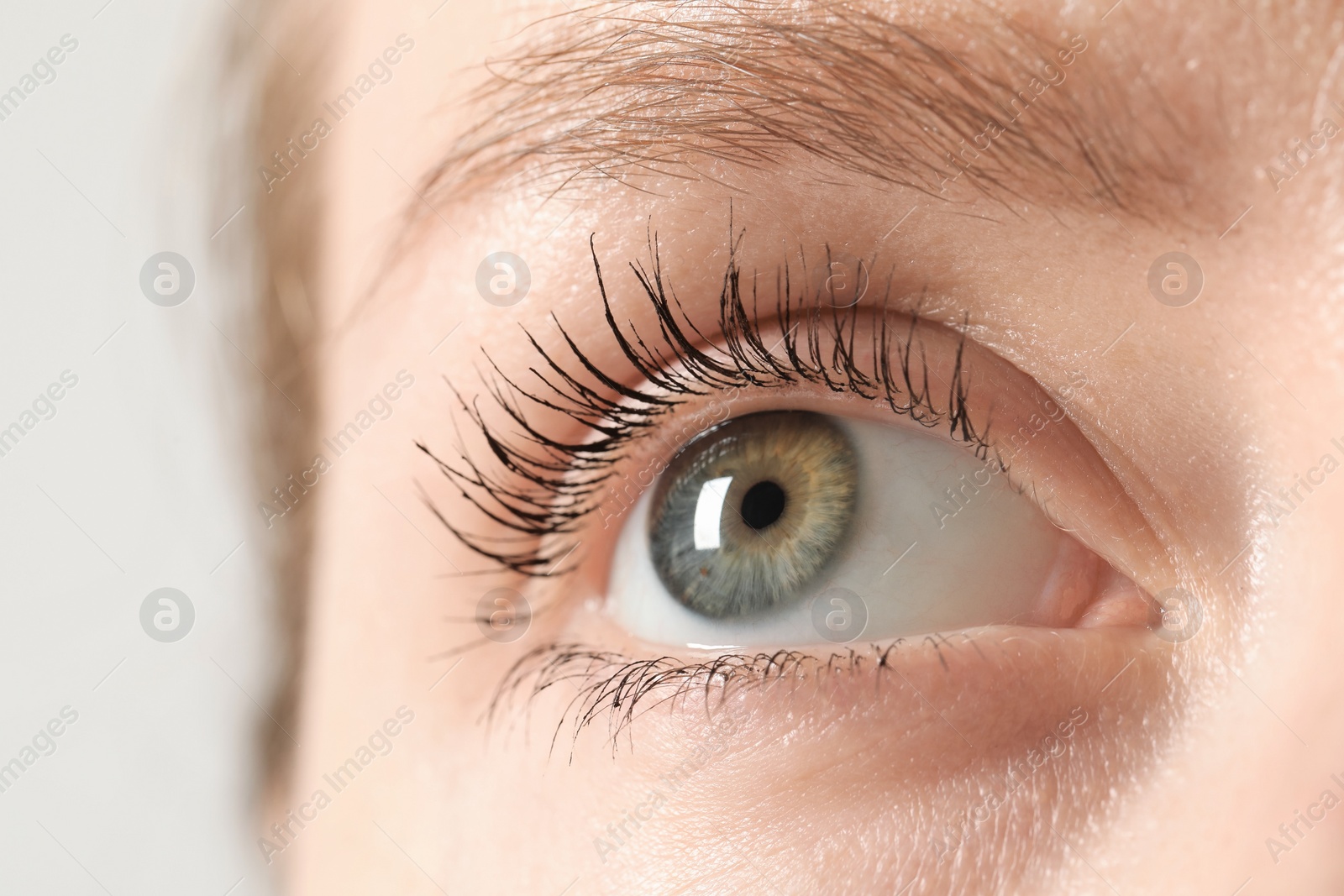 Photo of Macro photo of woman with beautiful eyes on light background