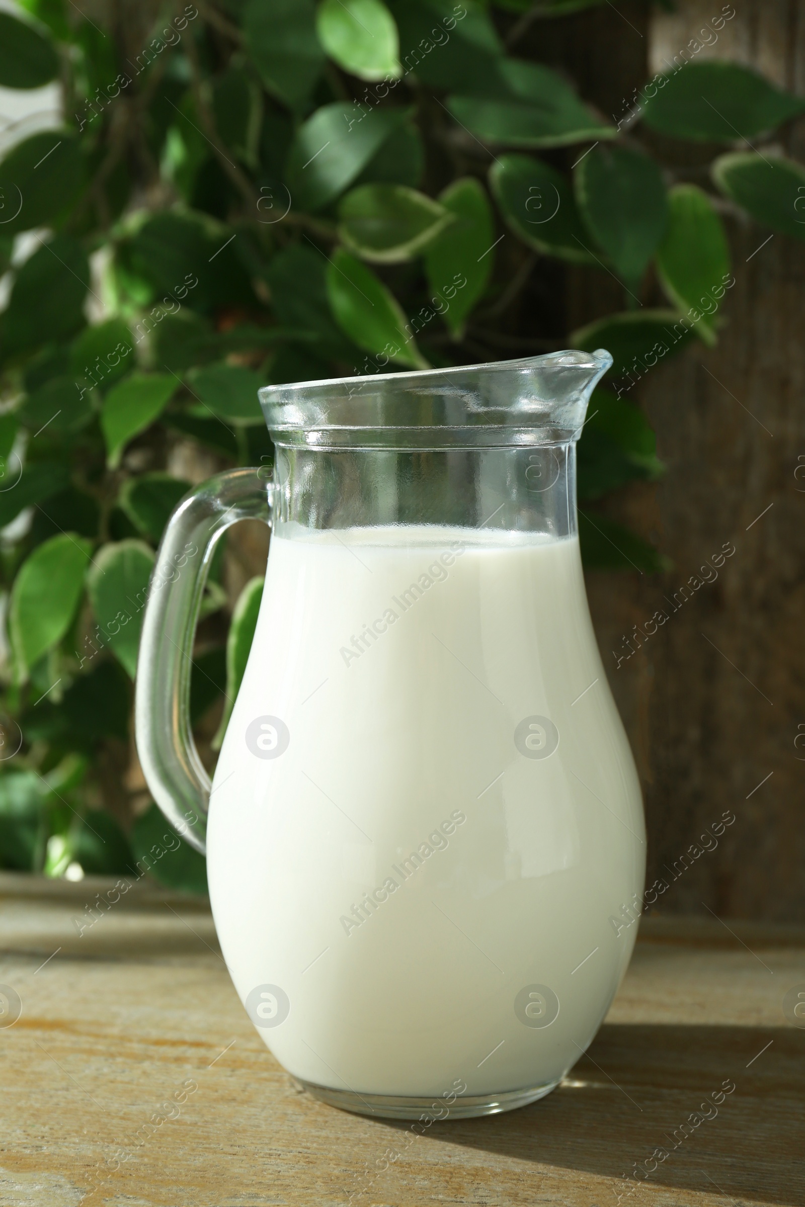 Photo of Jug of fresh milk on wooden table
