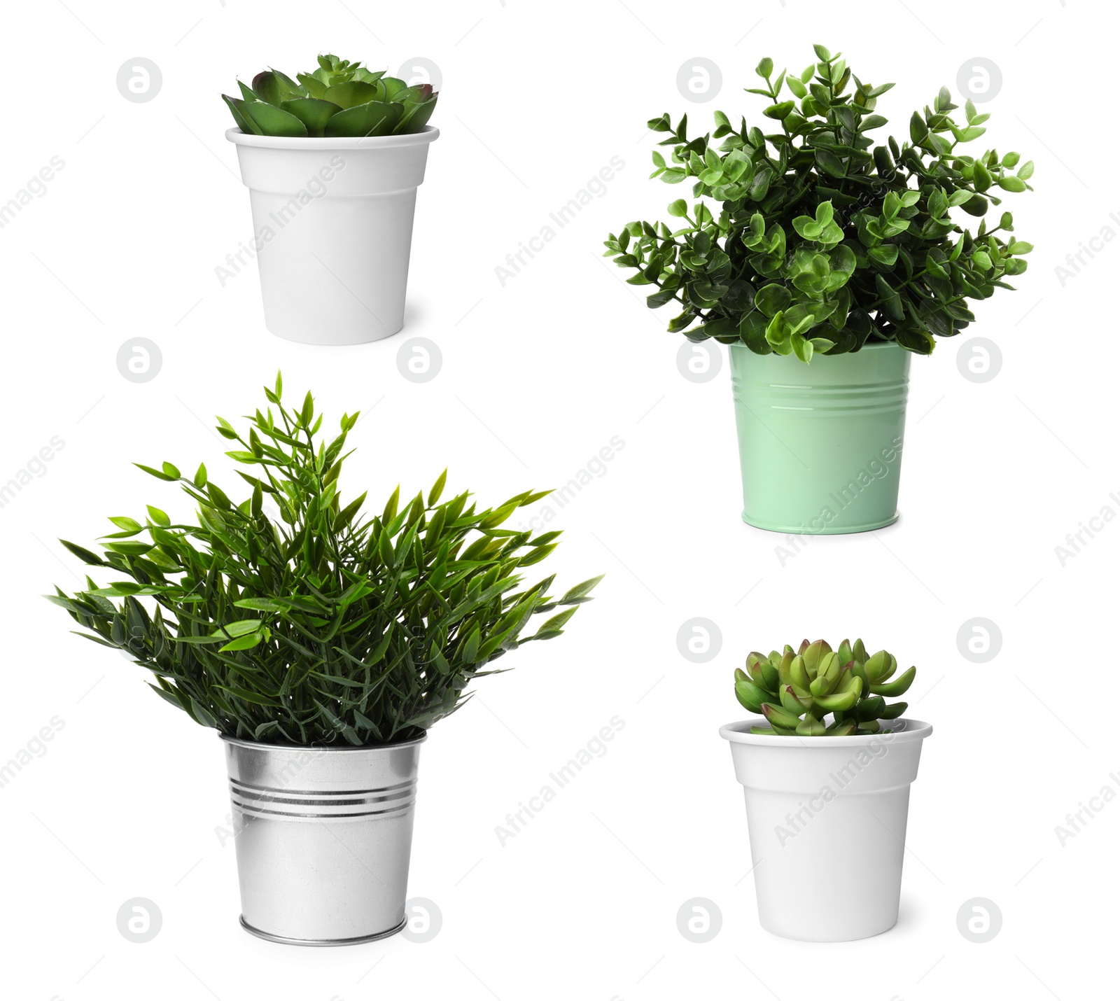 Image of Set of artificial plants in flower pots isolated on white