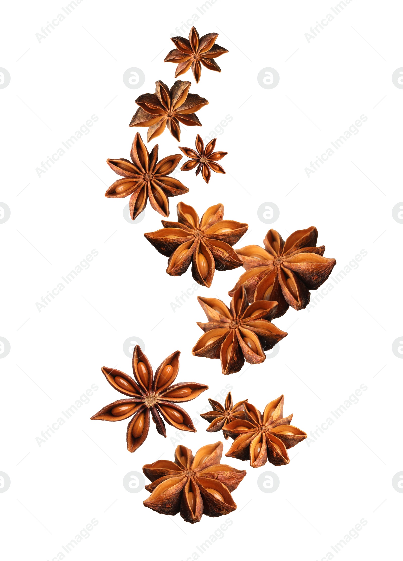 Image of Dry aromatic anise stars falling on white background