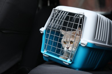 Travel with pet. Cute cat in carrier inside car