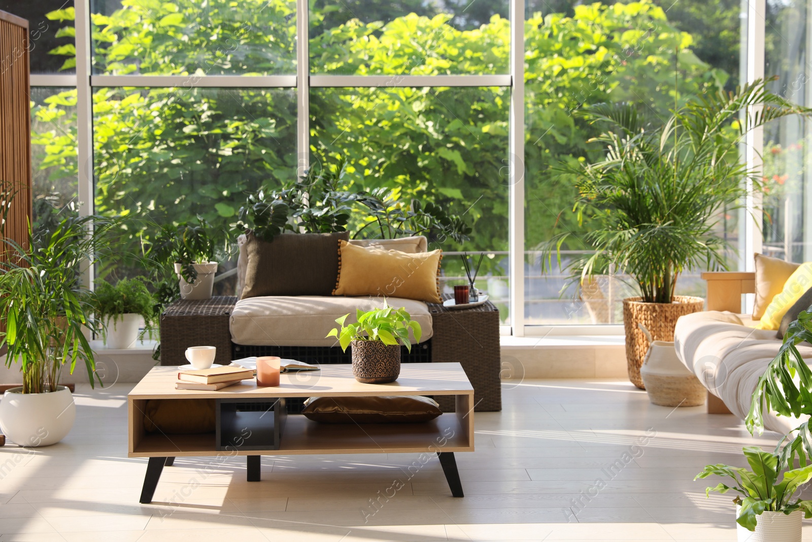 Photo of Indoor terrace interior with modern furniture and houseplants