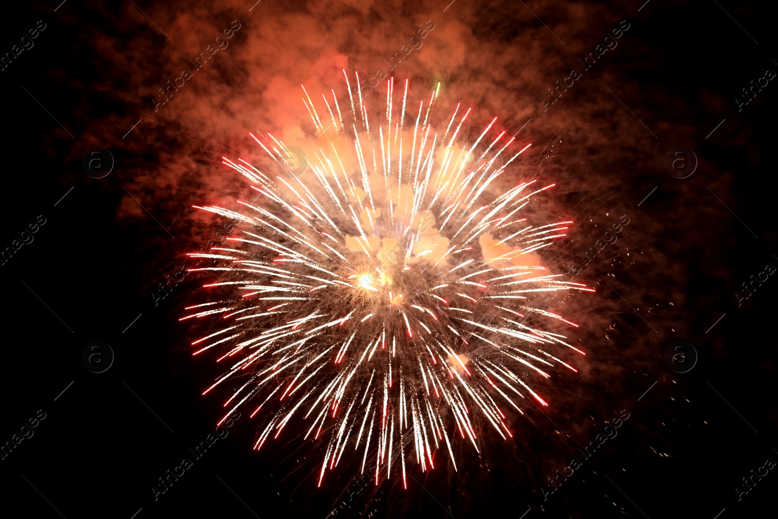 Photo of Beautiful bright firework lighting up night sky