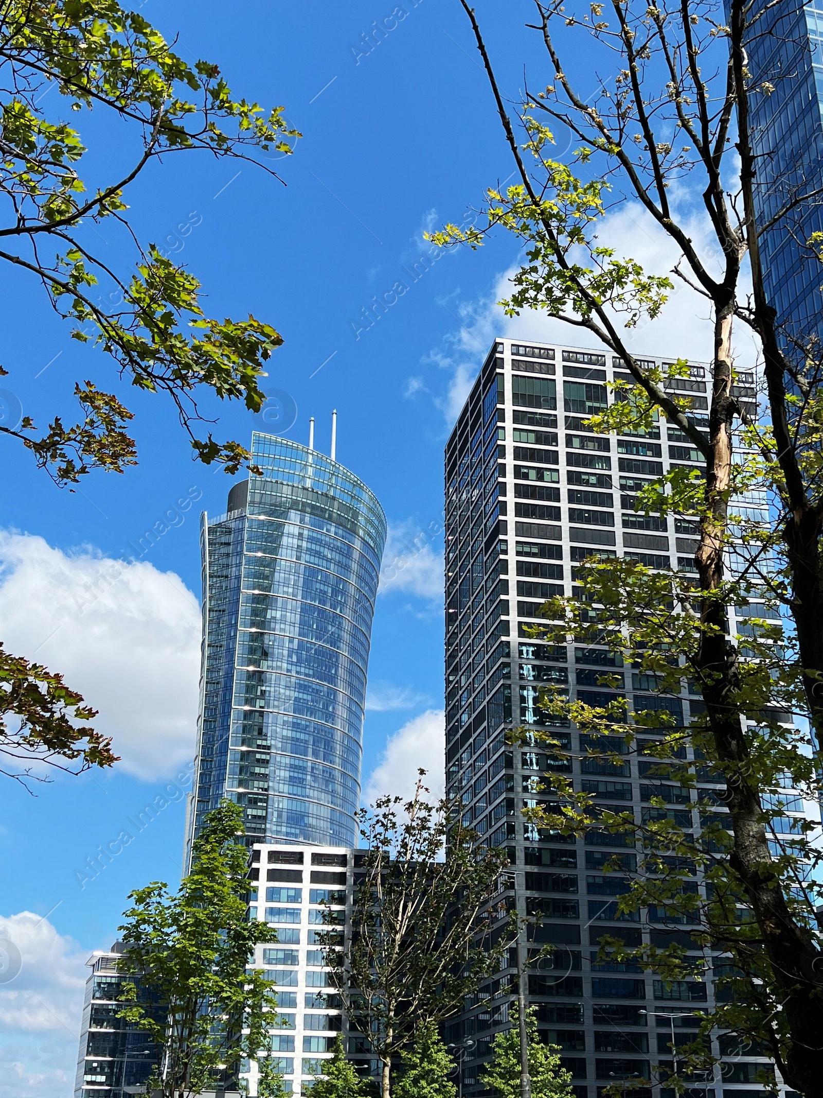 Photo of Beautiful buildings and trees against blue sky