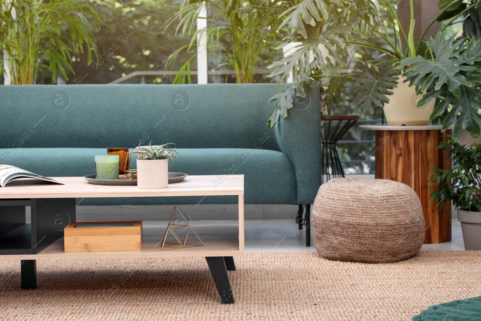 Photo of Living room interior with modern furniture and houseplants