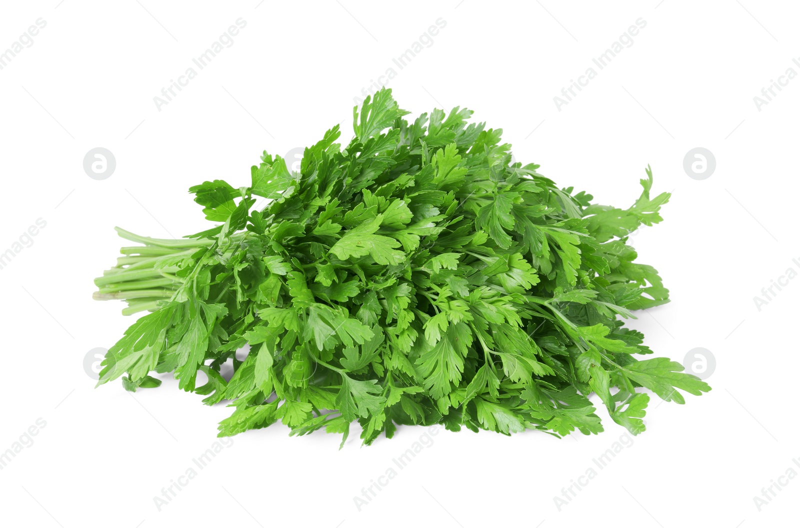 Heap of chopped parsley leaves isolated on white Photo of Heap of chopped parsley leaves isolated on white