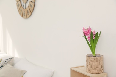 Photo of Beautiful hyacinth in wicker pot on wooden  crate indoors, space for text. Spring flower