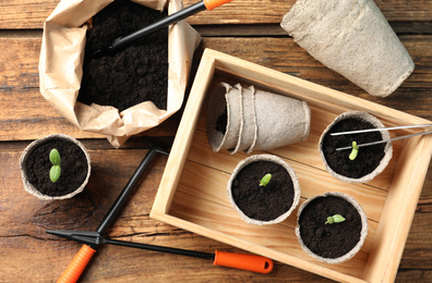 Flat lay composition with young seedlings on wooden table