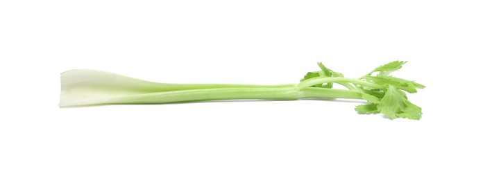 Fresh green celery stem isolated on white