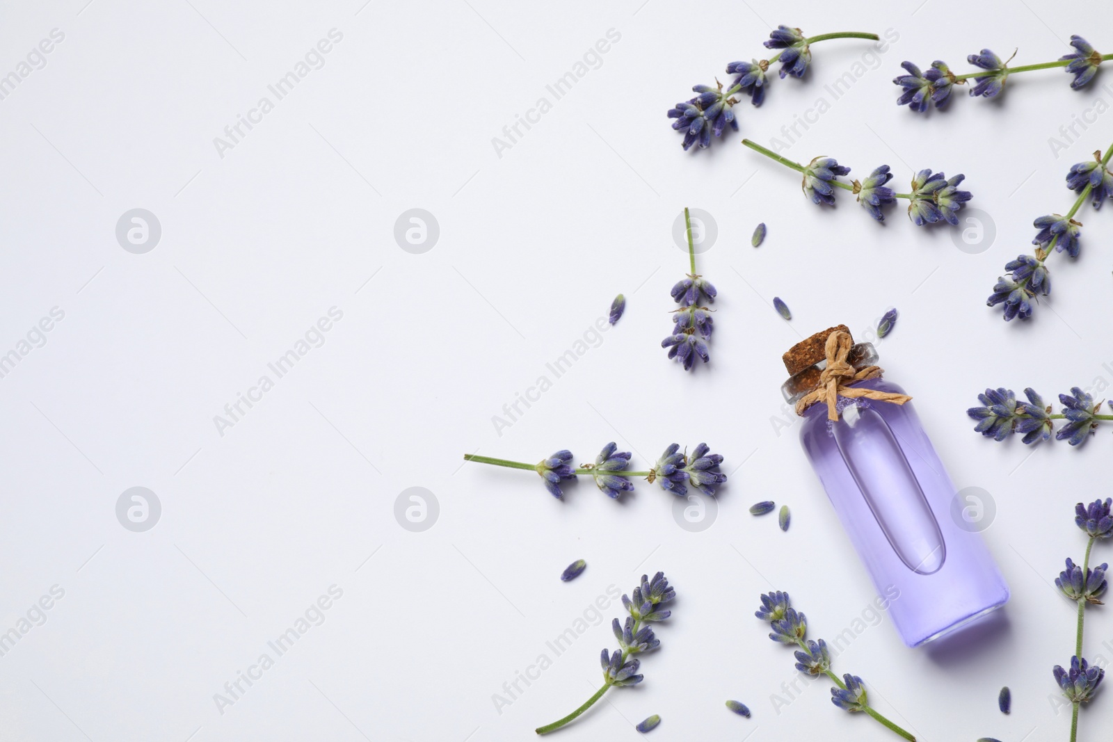 Photo of Composition with lavender flowers and natural essential oil on white background, top view