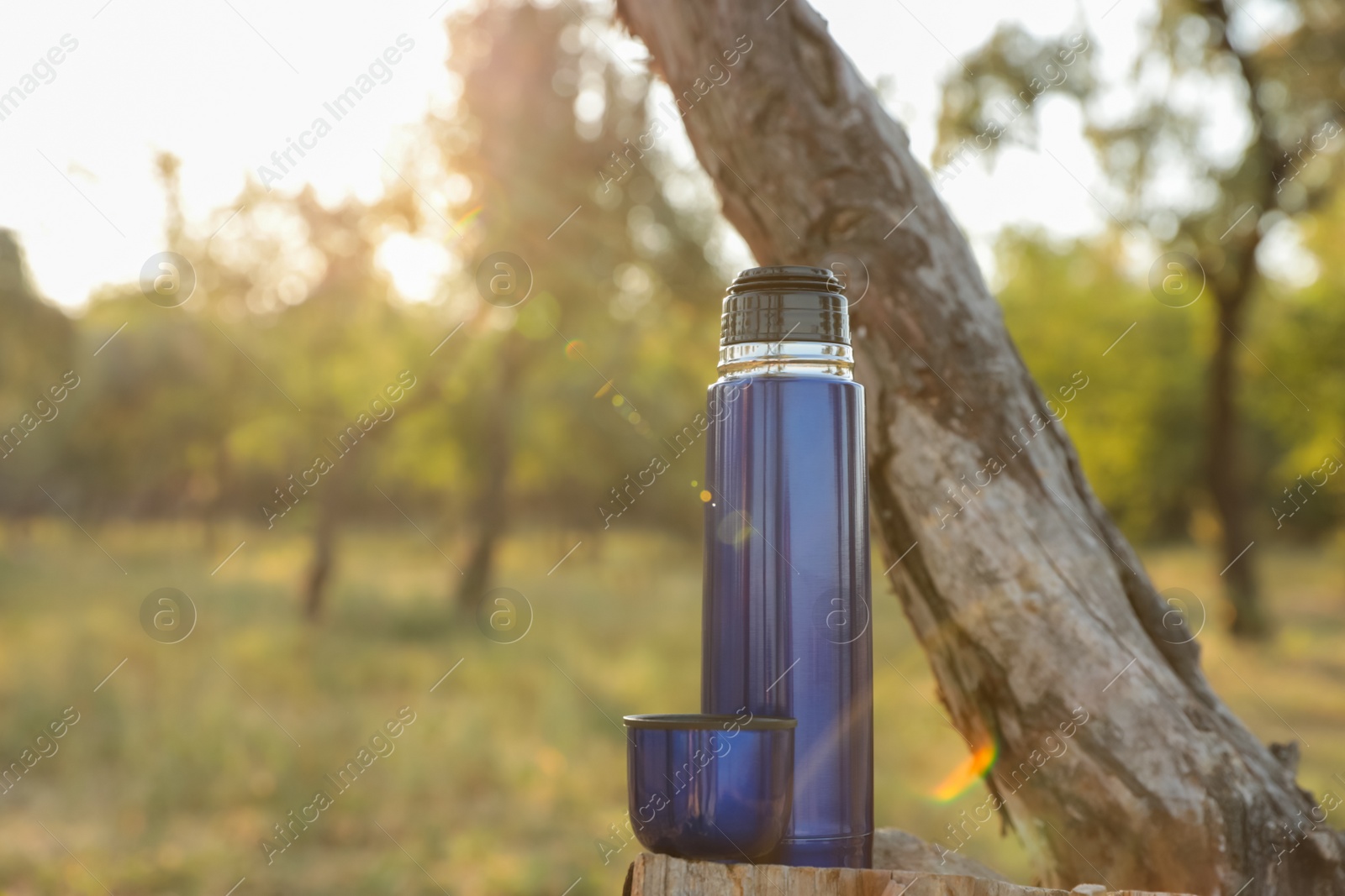Photo of Modern blue thermos on tree stump outdoors. Space for text