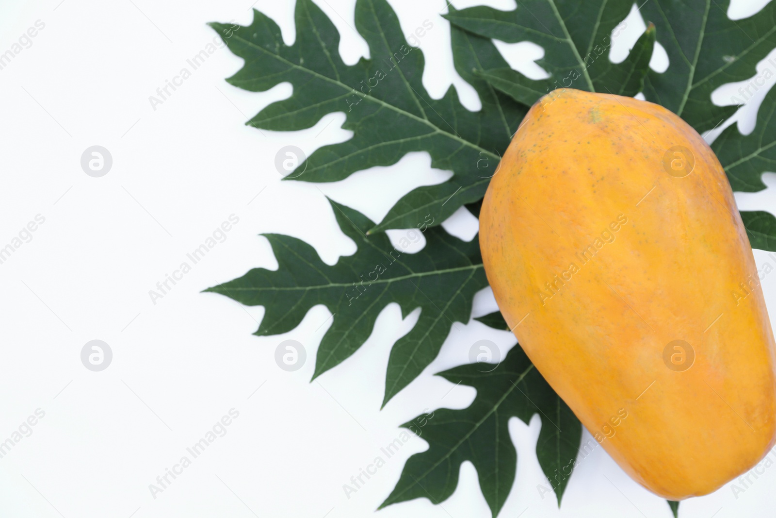 Photo of Fresh ripe papaya fruit and leaf on white background, top view. Space for text