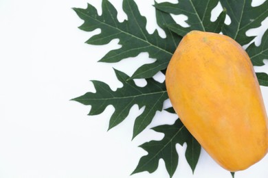 Photo of Fresh ripe papaya fruit and leaf on white background, top view. Space for text