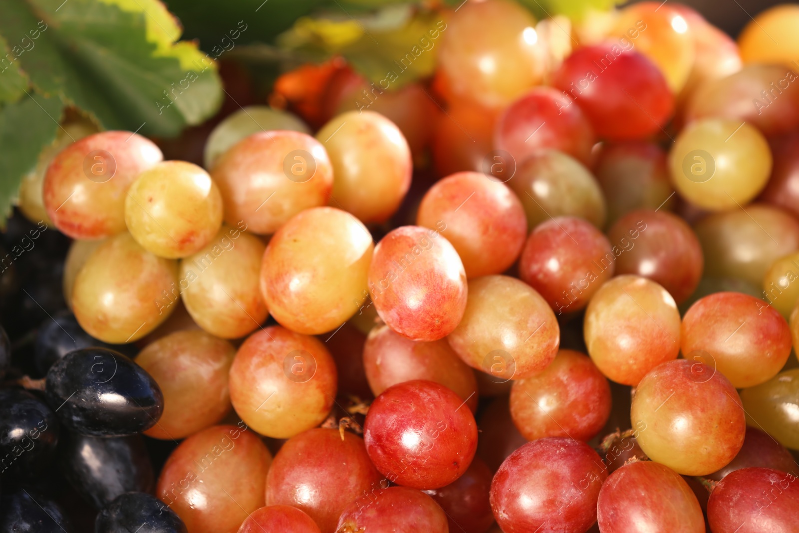 Photo of Fresh ripe juicy grapes as background, closeup