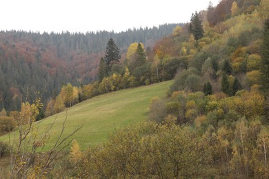 Beautiful landscape with forest in mountains on autumn day