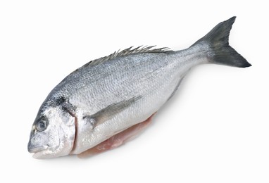 Photo of Fresh raw dorado fish isolated on white, top view