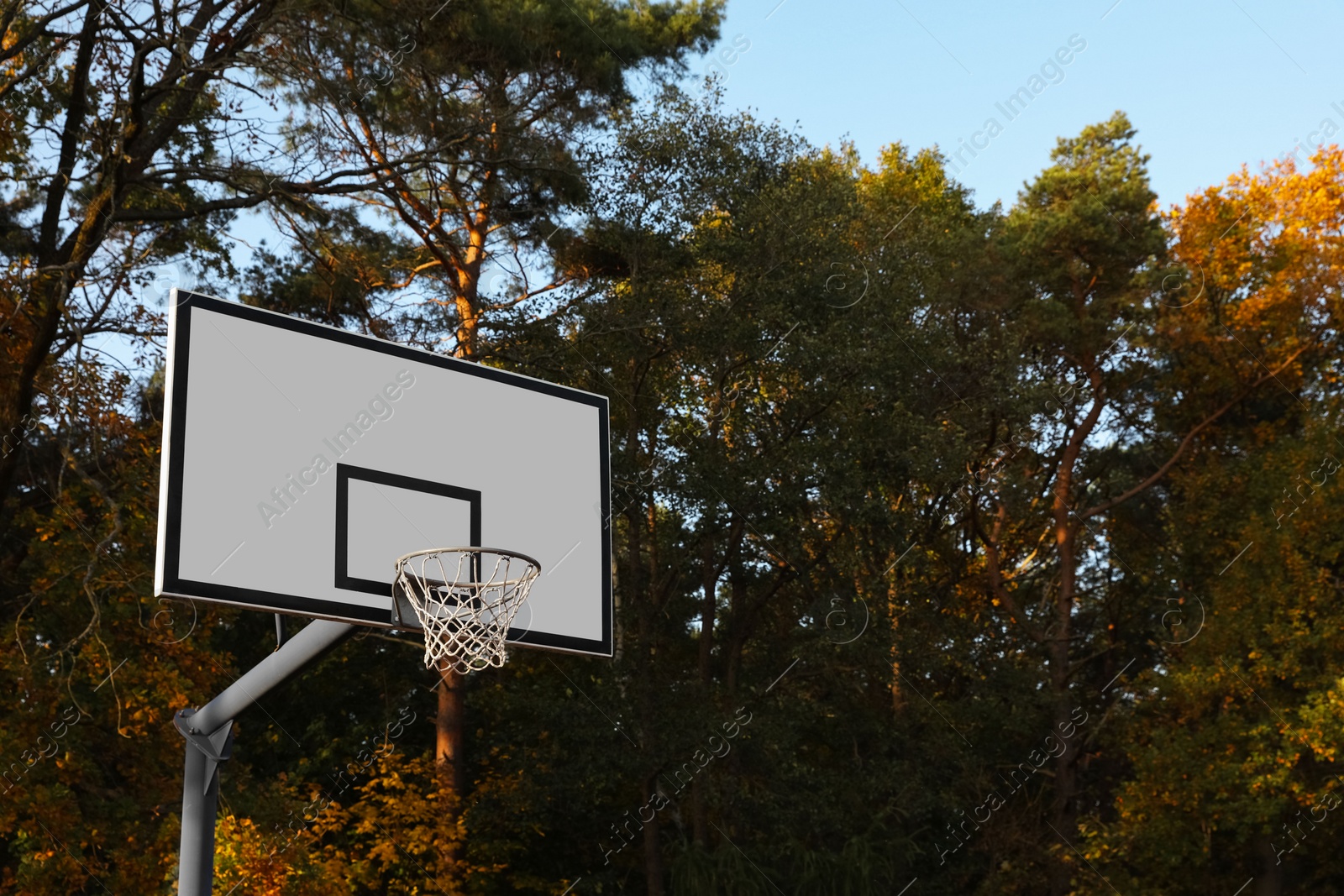 Photo of Basketball backboard with net against trees outdoors