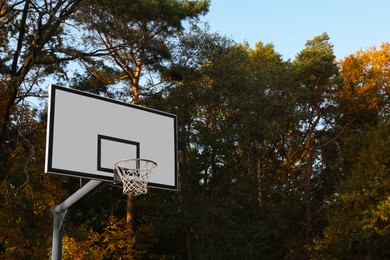 Basketball backboard with net against trees outdoors