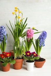 Photo of Different beautiful potted flowers on white wooden table