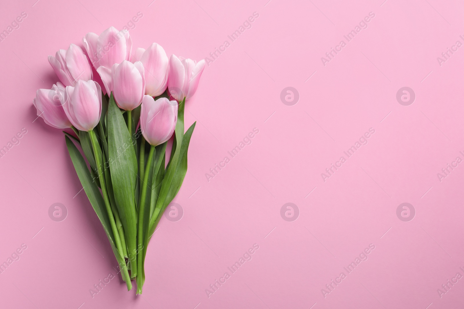 Photo of Beautiful tulips for Mother's Day on color background, top view