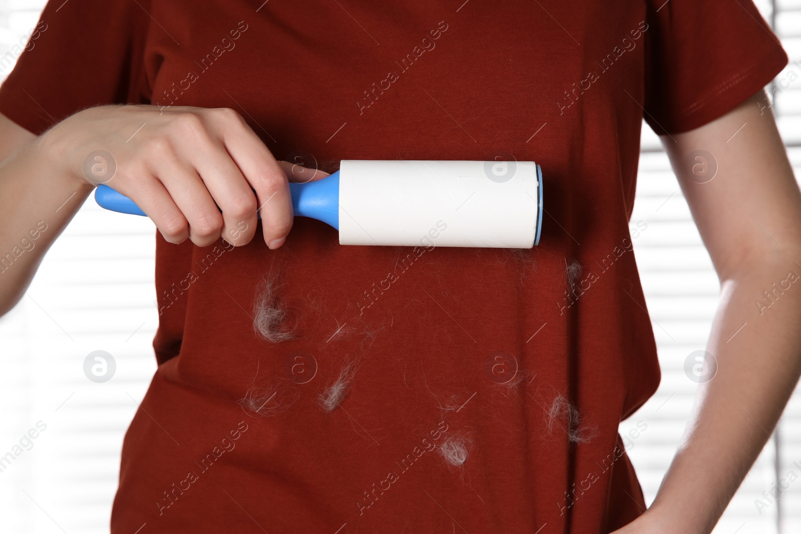 Photo of Woman removing cat hair from red t-shirt with lint roller near window, closeup