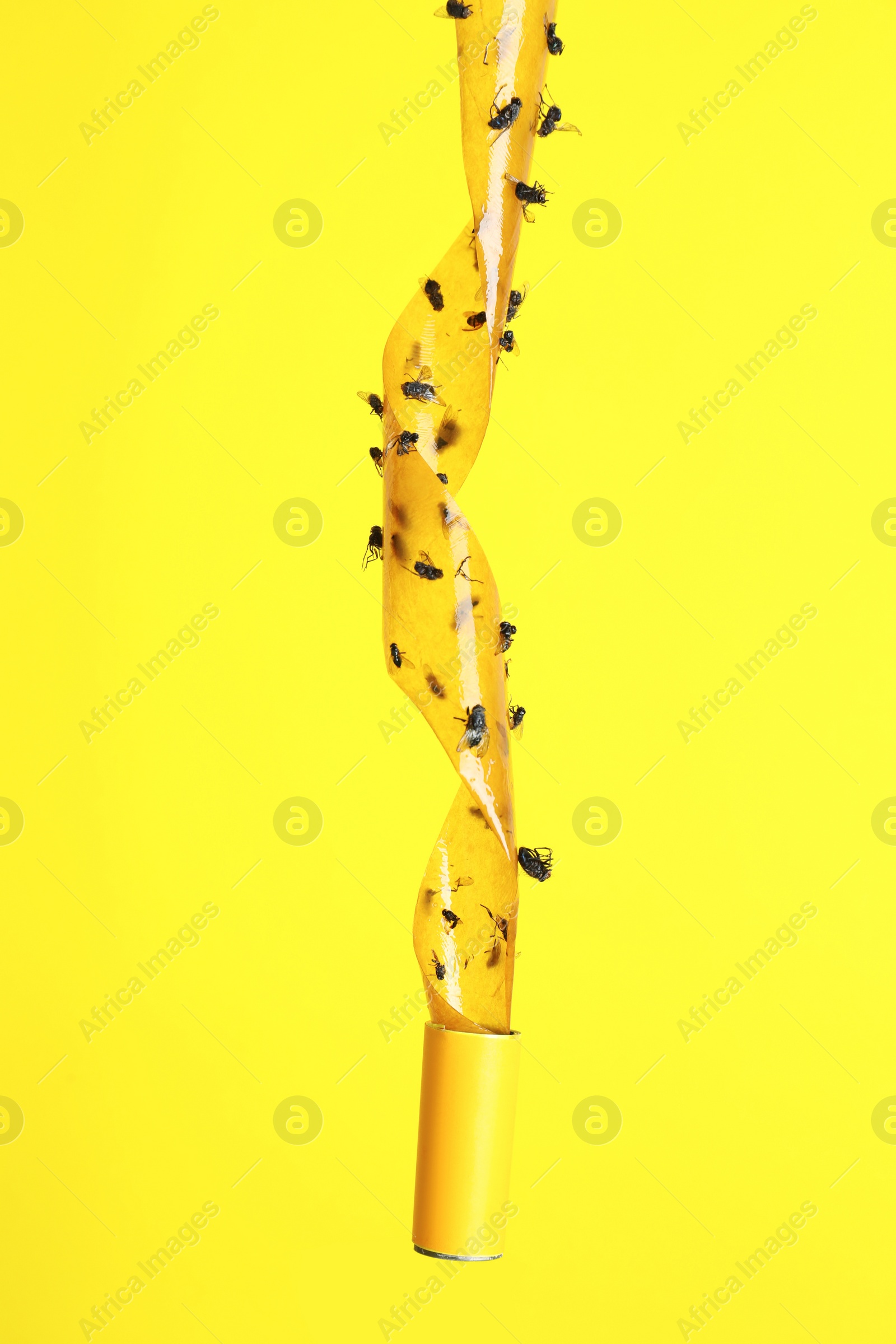Photo of Sticky insect tape with dead flies on yellow background